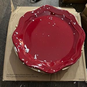 4 Dinner ceramic plates